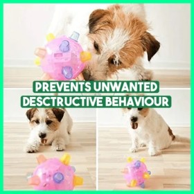Free Shipping!! Jumping Activation Ball for Dogs, BUY 2 GET 1 FREE!