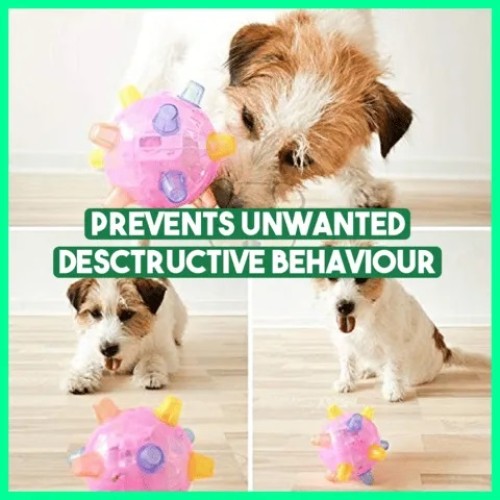 Free Shipping!! Jumping Activation Ball for Dogs, BUY 2 GET 1 FREE!