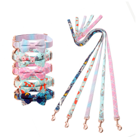 2023 luxury designer collar leash set accessories supplies dog collar leashes & harnesses pet collars