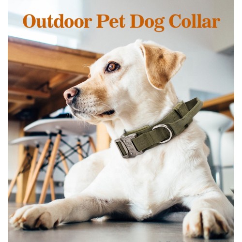 luxury Long training strong leather dog collar