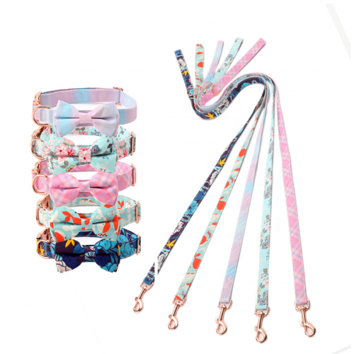 2023 supplies luxury designer collar leash set accessories supplies dog collar leashes & harnesses pet collars